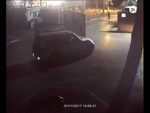 Hipopótamo escapa de zoológico, se decepciona com mundo real