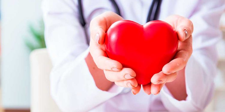 Bolsonaro diz que sua situação partidária depende do TSE