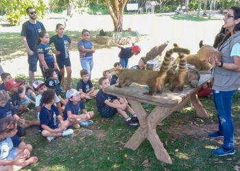 Prefeitura programa atividades no Horto Florestal para fechar período de férias escolares