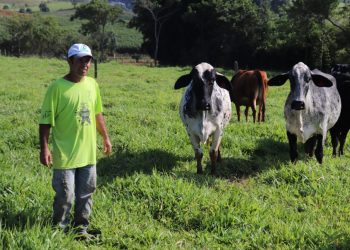 PROGEN: melhoramento genético já apresenta resultados para pequeno produtor rural
