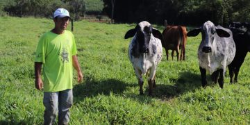 PROGEN: melhoramento genético já apresenta resultados para pequeno produtor rural