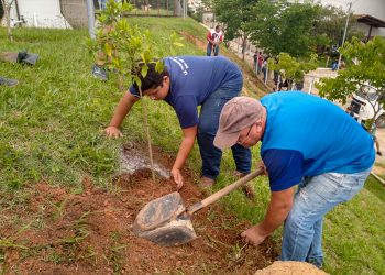 Em Pouso Alegre empresa faz plantio de árvores em escola municipal