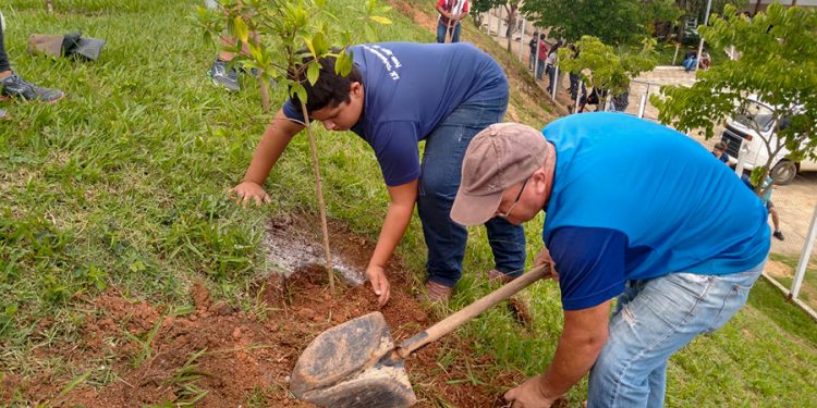 Em Pouso Alegre empresa faz plantio de árvores em escola municipal