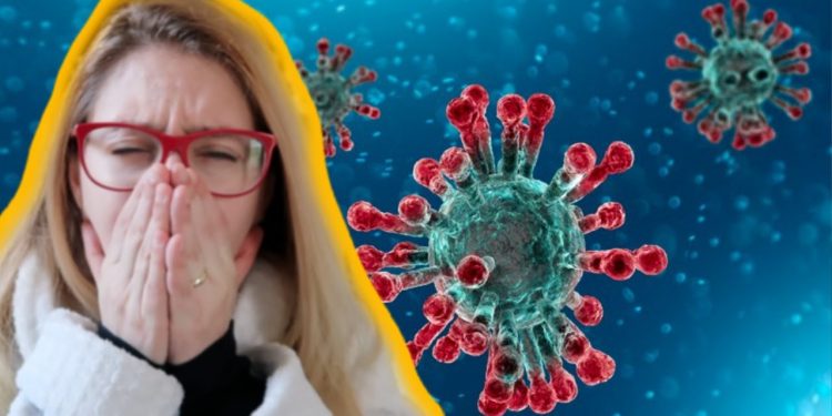 Confira o que é mito e fato na propagação da doença Coronavírus no Brasil