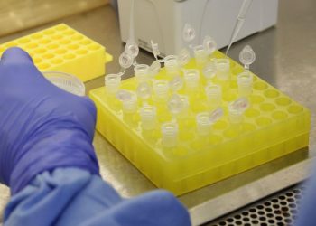 Em novo decreto prefeito Wander Chaves determina a suspensão das comemorações da Festa de Santa Rita