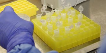 Em novo decreto prefeito Wander Chaves determina a suspensão das comemorações da Festa de Santa Rita