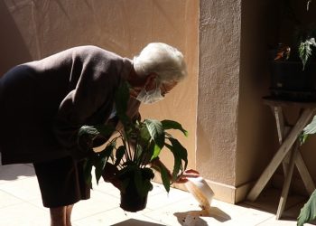 Ministro Sérgio Moro deixa governo de Jair Bolsonaro