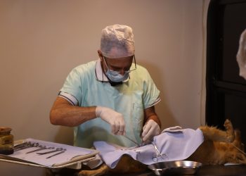 Castramóvel atende população da região do Pantano em Pouso Alegre