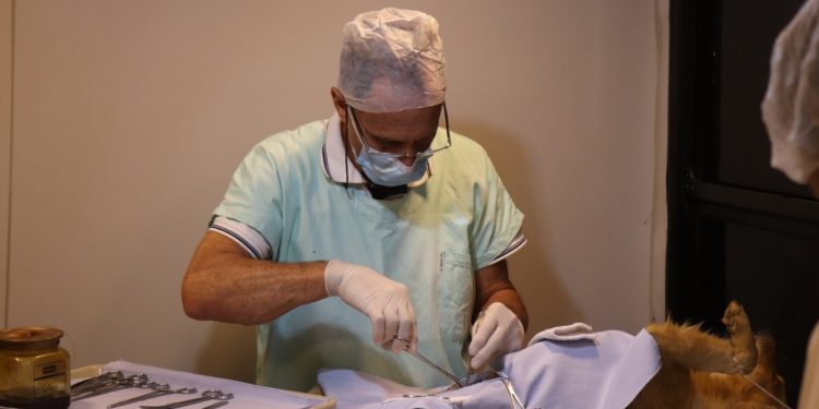 Castramóvel atende população da região do Pantano em Pouso Alegre