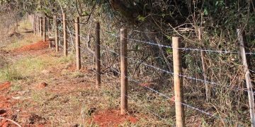 Prefeitura realiza ações de prevenção a incêndios florestais em Unidades de Conservação do município