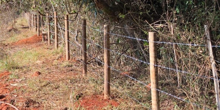 Prefeitura realiza ações de prevenção a incêndios florestais em Unidades de Conservação do município