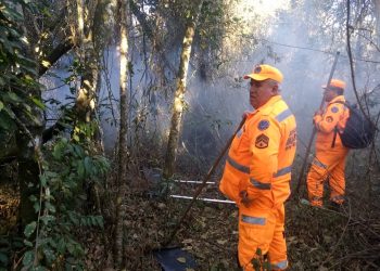 Pouso Alegre – Meio Ambiente volta a alertar sobre incêndios em unidades de conservação