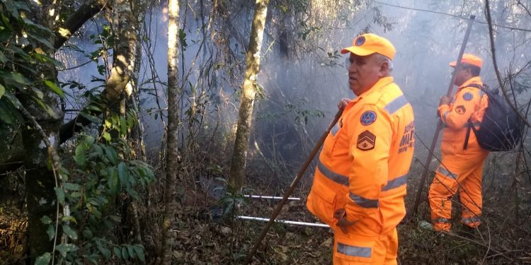 Pouso Alegre – Meio Ambiente volta a alertar sobre incêndios em unidades de conservação