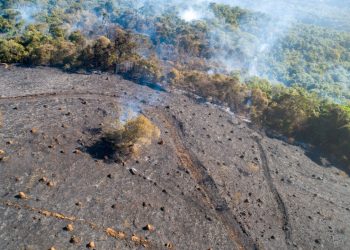 Prefeitura, Bombeiros e Exército combatem incêndio no Horto de Pouso Alegre