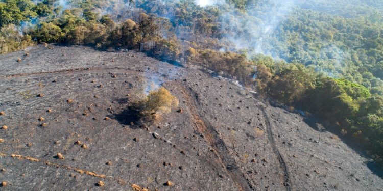 Prefeitura, Bombeiros e Exército combatem incêndio no Horto de Pouso Alegre