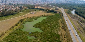 Em Pouso Alegre Lagoa da Banana, passa por limpeza