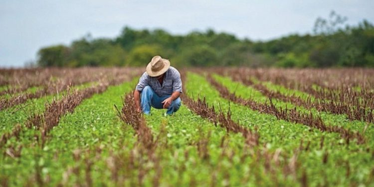 Produtor rural tem até 30 de setembro para declarar ITR sem multa