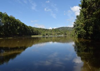 Horto Florestal será reaberto a partir de segunda-feira