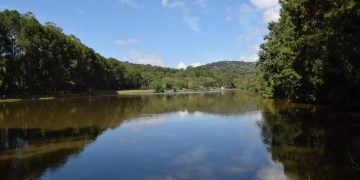 Horto Florestal será reaberto a partir de segunda-feira