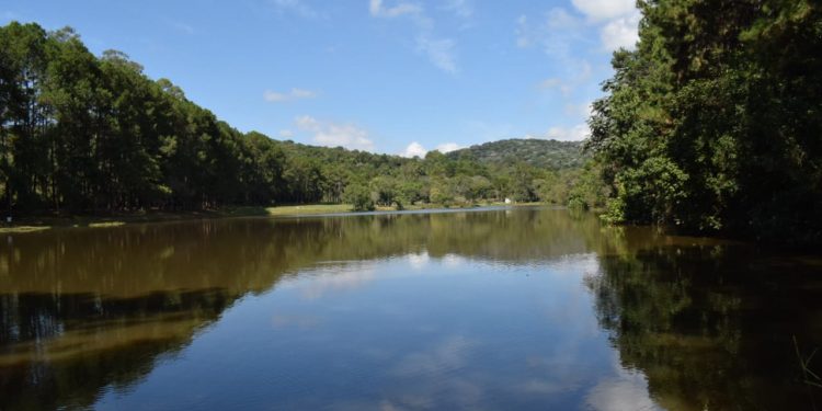Horto Florestal será reaberto a partir de segunda-feira