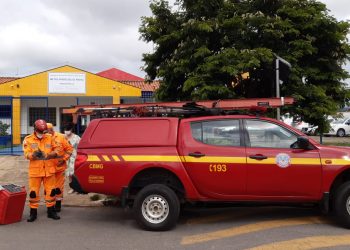 Corpo de Bombeiros resgata família de gambás em unidade escolar de Pouso Alegre