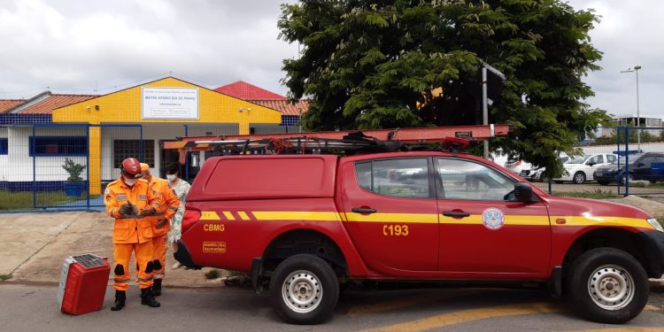 Corpo de Bombeiros resgata família de gambás em unidade escolar de Pouso Alegre