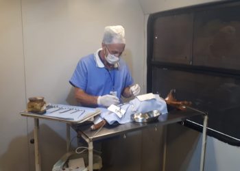 Prefeitura de Pouso Alegre inicia atendimentos com o Castramóvel em 2021