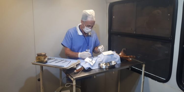 Prefeitura de Pouso Alegre inicia atendimentos com o Castramóvel em 2021