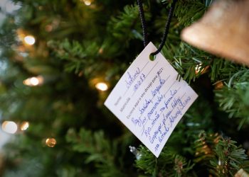 Funcionários da CIMED em Pouso Alegre têm sonhos realizados em “Árvore dos Desejos”