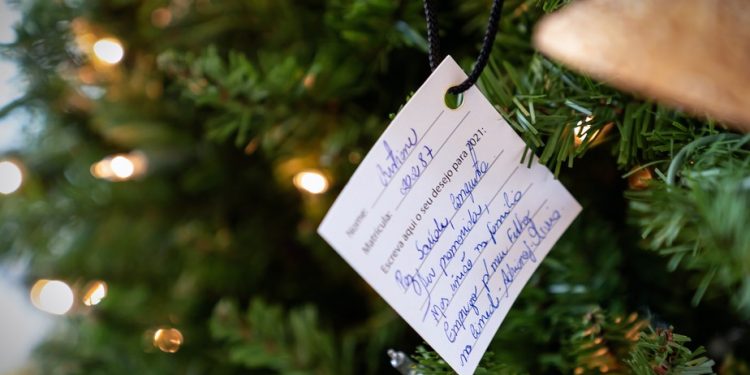 Funcionários da CIMED em Pouso Alegre têm sonhos realizados em “Árvore dos Desejos”