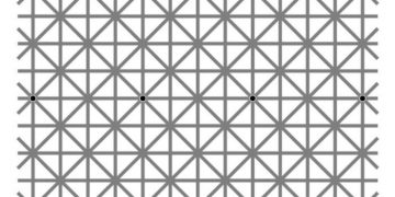 Quantos pontos pretos você vê na imagem ao mesmo tempo?