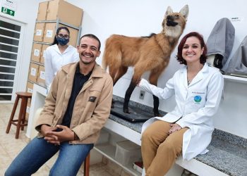 Curso de Ciências Biológicas da Univás realiza o I Encontro de Manejo de Fauna Silvestre do Vale do Sapucaí