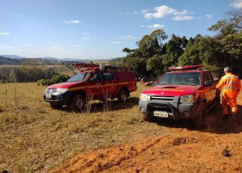 Meio Ambiente: Ações de prevenção são tomadas para evitar futuros incêndios em área de mata