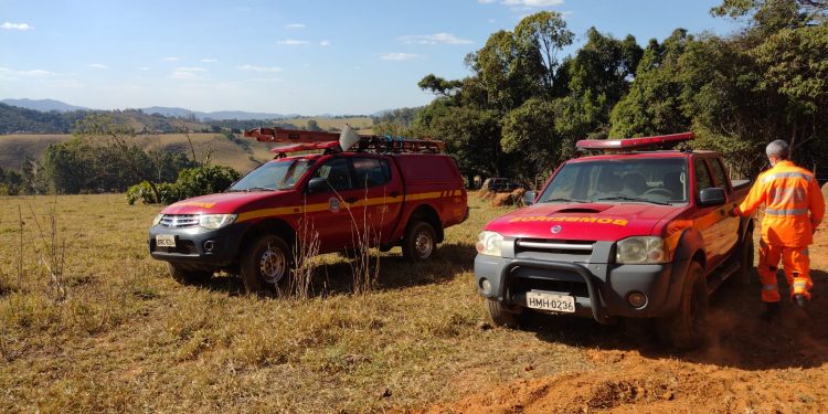 Meio Ambiente: Ações de prevenção são tomadas para evitar futuros incêndios em área de mata