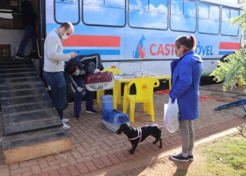Pouso Alegre tem mais uma etapa de esterilização com o Castramóvel