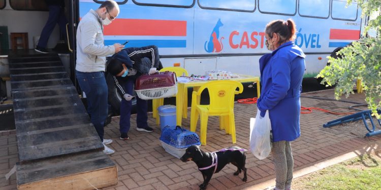 Pouso Alegre tem mais uma etapa de esterilização com o Castramóvel