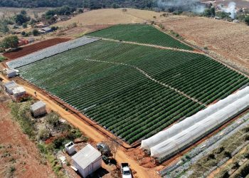 Declaração do Imposto Territorial Rural está aberta em Pouso Alegre