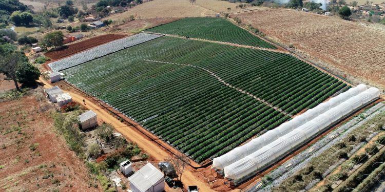 Declaração do Imposto Territorial Rural está aberta em Pouso Alegre