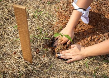 Estudantes do PROFESP/Conviver em Pouso Alegre retomam atividades presenciais