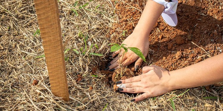 Estudantes do PROFESP/Conviver em Pouso Alegre retomam atividades presenciais