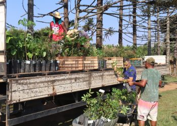 No “Dia da Árvore” Pouso Alegre terá o 1º Pit Stop da Esperança