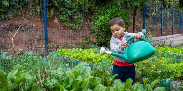 Escolas municipais desenvolve trabalho com hortas junto aos estudantes