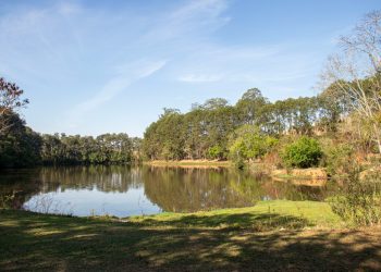 Horto Municipal de Pouso Alegre volta a abrir aos finais de semana