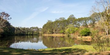 Horto Municipal de Pouso Alegre volta a abrir aos finais de semana