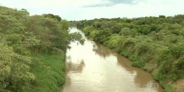 Câmara comemora “Dia do Rio Mandu” acompanhando ações especiais