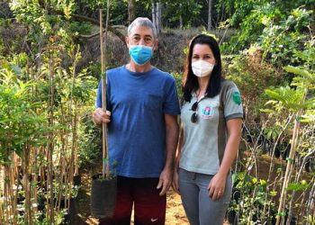 Prefeitura de Pouso Alegre intensifica de doação de mudas de árvores