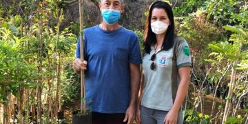 Prefeitura de Pouso Alegre intensifica de doação de mudas de árvores