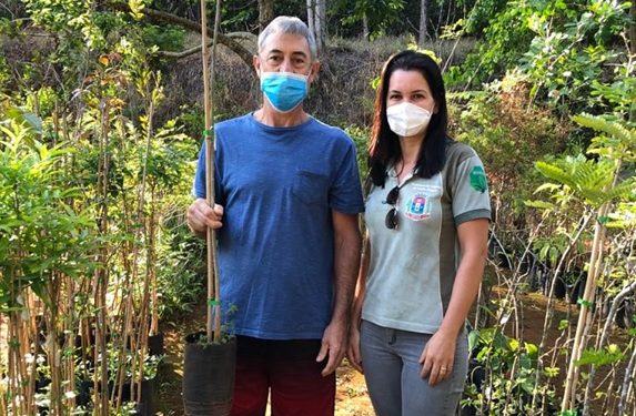 Prefeitura de Pouso Alegre intensifica de doação de mudas de árvores