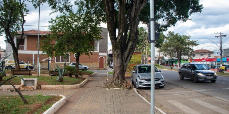 Árvore de grande porte será retirada de praça na Avenida Vicente Simões