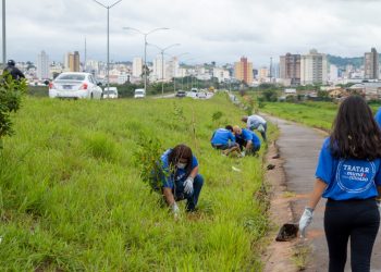 Prefeitura, General Mills e Instituto Melhores Dias plantam árvores ao lado da Avenida Dique 2
